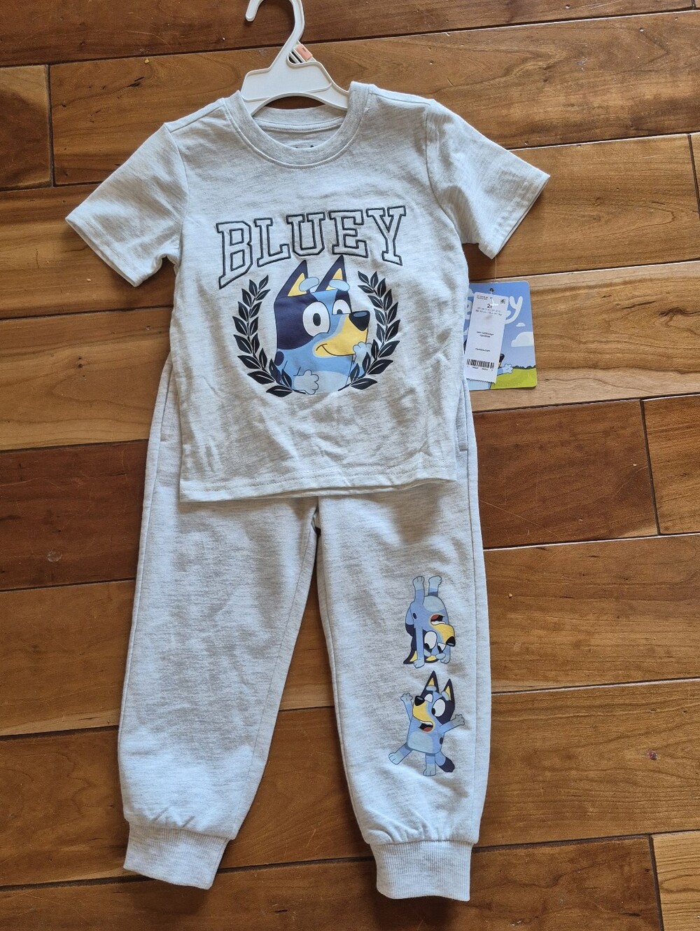 NWT Carter's Bluey Toddler Outfit Size 2T